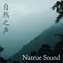 Nature Record - Light Rain And Stream