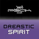 Dreastic - Spirit Alex Robert Remix