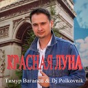 Dj Polkovnik feat Тимур Вагапов - Красная луна