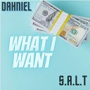 Dahniel feat S A L T - What I Want