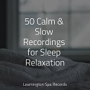 Namaste Healing Yoga Naturaleza Relajacion Sleep Sounds of… - Anxiety Relief