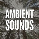Ambient - Ambient Sounds Pt 16