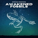 Awakened Fossils - Spring Peepers