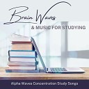 Study Janelle - Music to Help you Focus wih 432 Hz Frequency