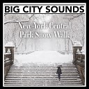 Mark Wayne - New York Central Park Snow Walk Pt 9