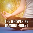 Natural Yoga Sounds - The Whispering Bamboo Forest Pt 5