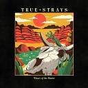 True Strays - In Your Hands