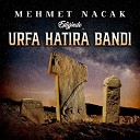 Mehmet Nacak - Karag zl m Efkarlanma G l Gayr