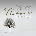 Mark Wayne - Call of Nature Snowfall Pt 13