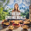 Natural Yoga Sounds - Tibetan Singing Bowls Pt 17