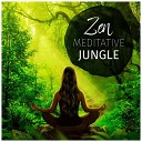 Mark Wayne - Zen Meditative Jungle Pt 12