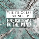 Mark Wayne - White Noise for Sleep Birch Tree Swaying in the Wind Pt…