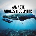 Natural Yoga Sounds - Whales Dolphins Pt 17