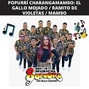 Maik y Su Musical Sonora - Popurr Charangamambo El Gallo Mojado Ramito de Violetas…