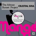 The African Sunset Project - Celestial Soul Radio edit
