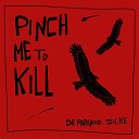 Dr Paranoid Silke - Pinch Me to Kill Instrumental Version