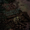 Shadow s Symphony - Fear of the Bleak and Barren Existence