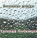 Евгений Любимцев - Плачет дождь