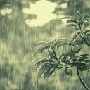 Дождливые дни Bgm - Музыка Оставаться…
