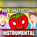 Skimer - Mr Tomatos Song Instrumental