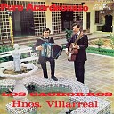 Los Cachorros Hnos Villarreal - Haste Bajito Instrumental