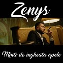 Zenys - Minti de ingheata apele