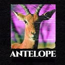AKWASI SPARROW - Antelope