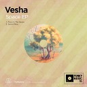Vesha - Place In The Space