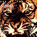 Survivor - Eye Of The Tiger Niki4 Remix