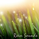 Calmsound - Woodland Rain Shower