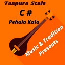 Pt Hari Nath Jha - Tanpura C Original