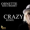 Waka Sound - Crazy Remix Cover