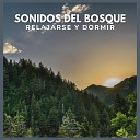 Sonido del Bosque y Naturaleza - Sonidos del Bosque Relajarse y Dormir P59