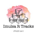 Imulsa R Tracks - Digit Acid 2Tk23