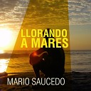 Mario Saucedo - Las Noches las Hago D as