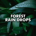 Sounds For Life - Rain Positivity Version 2 Mix