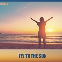 INSAER - Fly to the Sun
