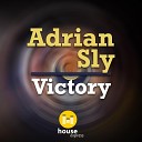 Adrian Sly - Explanatory Chart