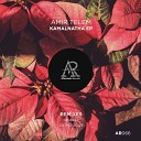 Amir Telem - Kamalnatha Cosmosolar Remix