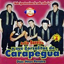 Julio Bareiro y sus Zorzalitos de Carapegua - Igusto Vointe la Ipyahu Aja