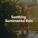 Rain Sounds Nature Sounds for Sleep and Relaxation Nature… - The Last Rain