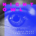 RoelBeat feat Annett - Night Owl