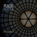 Placid Noises - Dread Mask