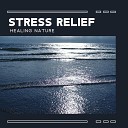Calm Stress Oasis Relief - Hear the Nature