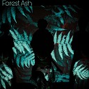 Forest ASH - На стеклянной цепи