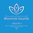 Bloomsie Soundz - Melodic Time 2Tk23