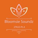 Bloomsie Soundz - Noise Boy 2Tk23