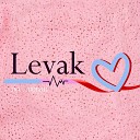 LEVAK - Дорогой подарок