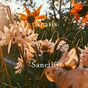 Neasis - Sanctify
