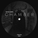 Shaun James - Chamber Original Mix